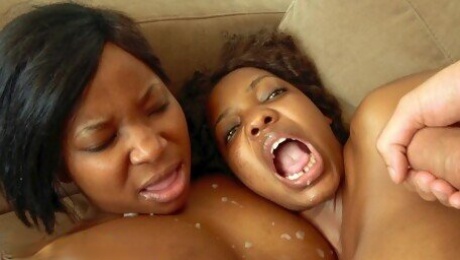 African Sex Trip - africansextrip clip